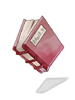 Thief Book Basic
