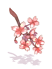 Cherry Twig In Mouth