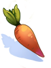 Carrot In Mouth
