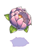 Celestial Woman's Flower
