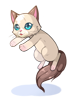 Cuddly Siamese Cat