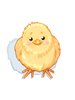 Costume Baby Chick