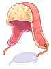 Costume Earmuff Hat