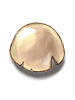 Costume Egg Shell