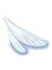 Wing of Dragonfly